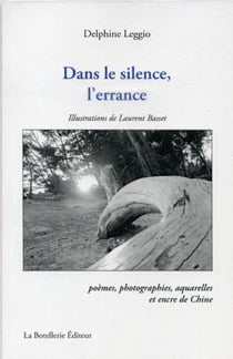Dans le silence de l'errance