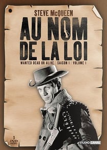 Au nom de la loi - Saison 1 - Volume 1
