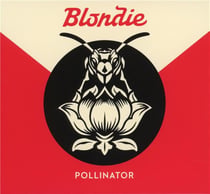 Pollinator