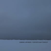 Coyote Butterfly