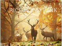 Richmond park