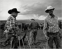 John langmore open range