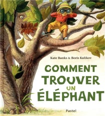 comment trouver un elephant?
