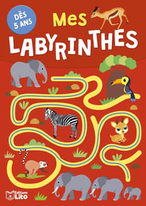 Mes labyrinthes
