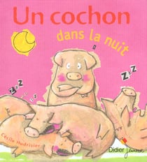 Un cochon dans la nuit