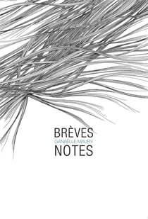 Brèves notes