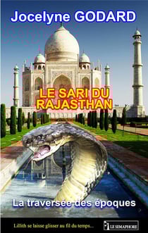 Le sari du rajasthan - la traverséee des époques