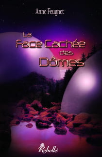 La face cachee des domes