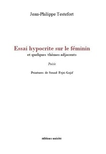 Essai hypocrite sur le féminin : et quelques thèmes adjacents
