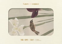 Livre d'images : Fleurs et oiseaux