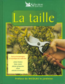 La taille