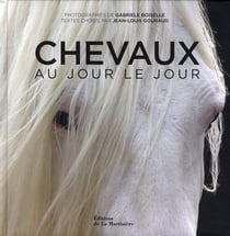 Chevaux au jour le jour