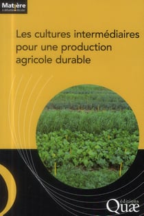 Les cultures intermédiaires pour une production agricole durable