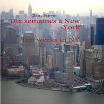 Dix semaines a New York - ten weeks in NY