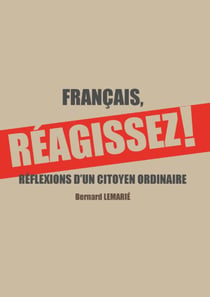 Français réagissez ! - réflexions d'un citoyen ordinaire