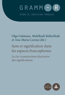 Sens et signification dans les espaces francophones : La (re-)construction discursive des significations