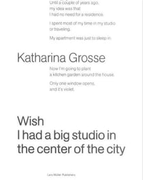 Katharina grosse wish i had a big studio in the center of the city