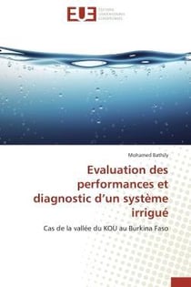 Evaluation des performances et diagnostic d'un systeme irrigue - cas de la vallee du kou au burkina