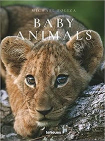 Baby animals