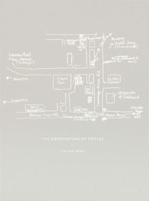 The observation of trifles