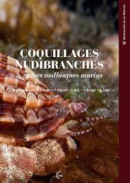 Coquillages, nudibranches et autres mollusques de La Réunion