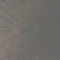 Selva oscura