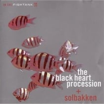 The black heart procession + solbakken