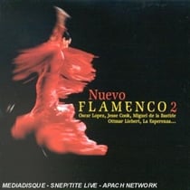 Nuevo flamenco /vol.2