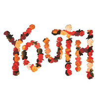 Youth (10TH Anniversary Edition) - édition colorée spéciale