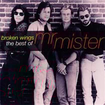 Broken wings : the best of mr mister