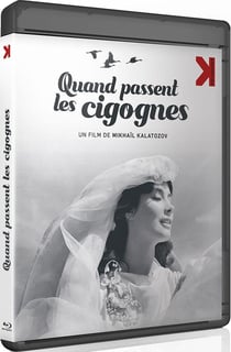 Quand passent les cigognes