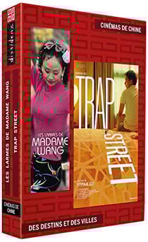 Cinémas de chine : des destins et des villes - Vol. 2