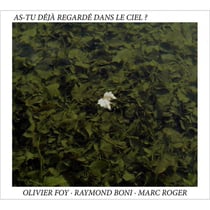 As-tu déjà regardé dans le ciel?