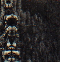 Forest, the people and the spirits
