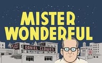 Mister Wonderful