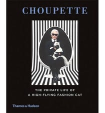 Choupette the private life of a high-flying fashion cat