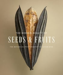 The hidden beauty of seeds & fruits