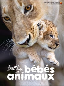 La vie sauvage des bébés animaux