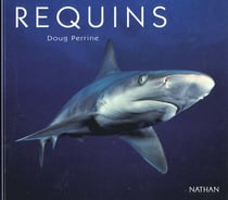 Les requins