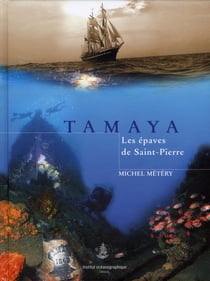 Tamaya - les épaves de Saint-Pierre