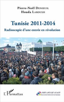 Tunisie 2011-2014 - radioscopie d'une entrée en révolution