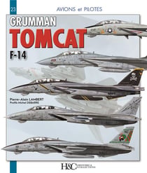 Grumman Tomcat F-14