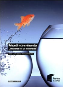 Rebondir et se réinventer - la résilience des ETI industrielles (édition 2017)