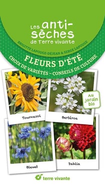 Les antisèches de Terre vivante : Fleurs d'été : Choix de variétés - Conseils de culture
