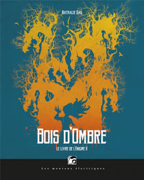 Le livre de l'énigme t.2 - bois d'ombre