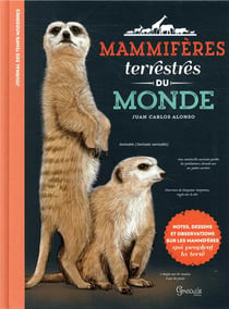 Mammifères terrestres du monde