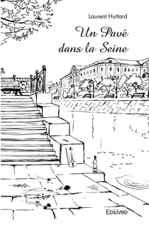 Un pave dans la seine