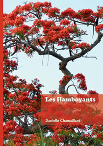 Les flamboyants
