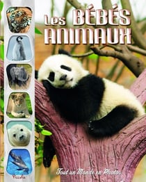 Tout un monde en photos : les bébés animaux