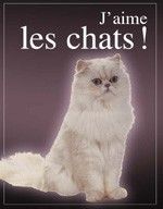 J'aime les chats !
